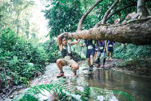 BIB: 
                            <button type="button" onclick="openModal(25444129)" class="btn btn-primary btn-sm float-right btn-popup" data-toggle="modal" data-target=".modal-high-quality">
                        <i class="fas fa-shopping-cart"></i> Add to Cart
                    </button>
                                            <button type="button" onclick="isThisMe(25444129, true)" class="btn btn-success btn-sm float-right btn-popup btn-isme hidden" data-toggle="tooltip" data-placement="bottom" title="นี่คือรูปของคุณใช่ไหม คลิกที่นี่เพื่อเอาเข้าอัลบั้ม">
                        <i class="fas fa-plus"></i> Add to album
                    </button>
                    <button type="button" onclick="isThisMe(25444129, false)" class="btn btn-warning btn-sm float-right btn-popup btn-isnotme hidden">
                        <i class="fas fa-ban"></i> Remove from album
                    </button>